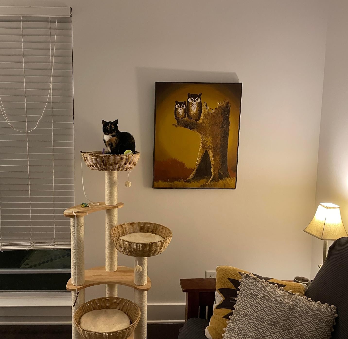 SHODMI Modern Cat Tree photo review