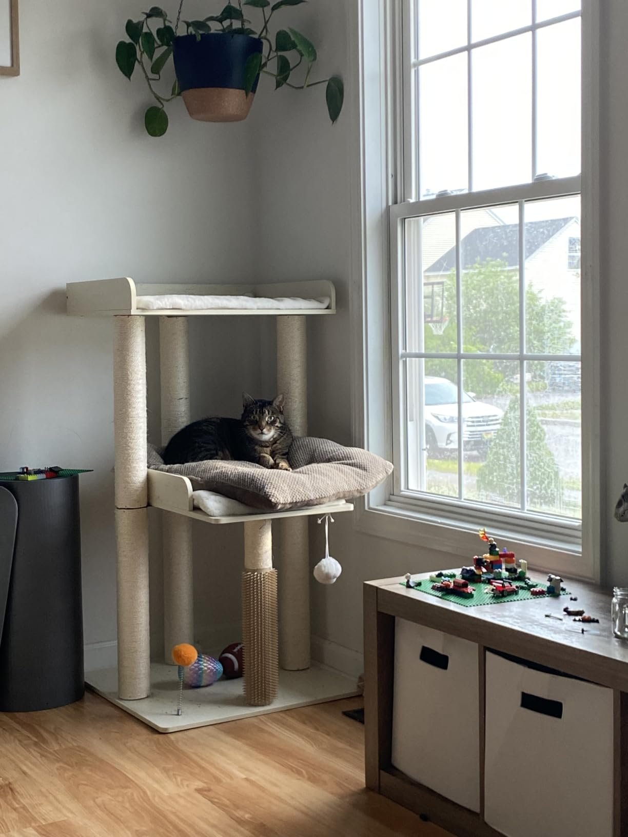 43.7" Easy‑Assemble Modern Cat Tree photo review