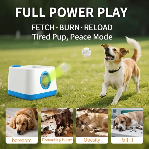 Auto Paw Activated Dog Launcher