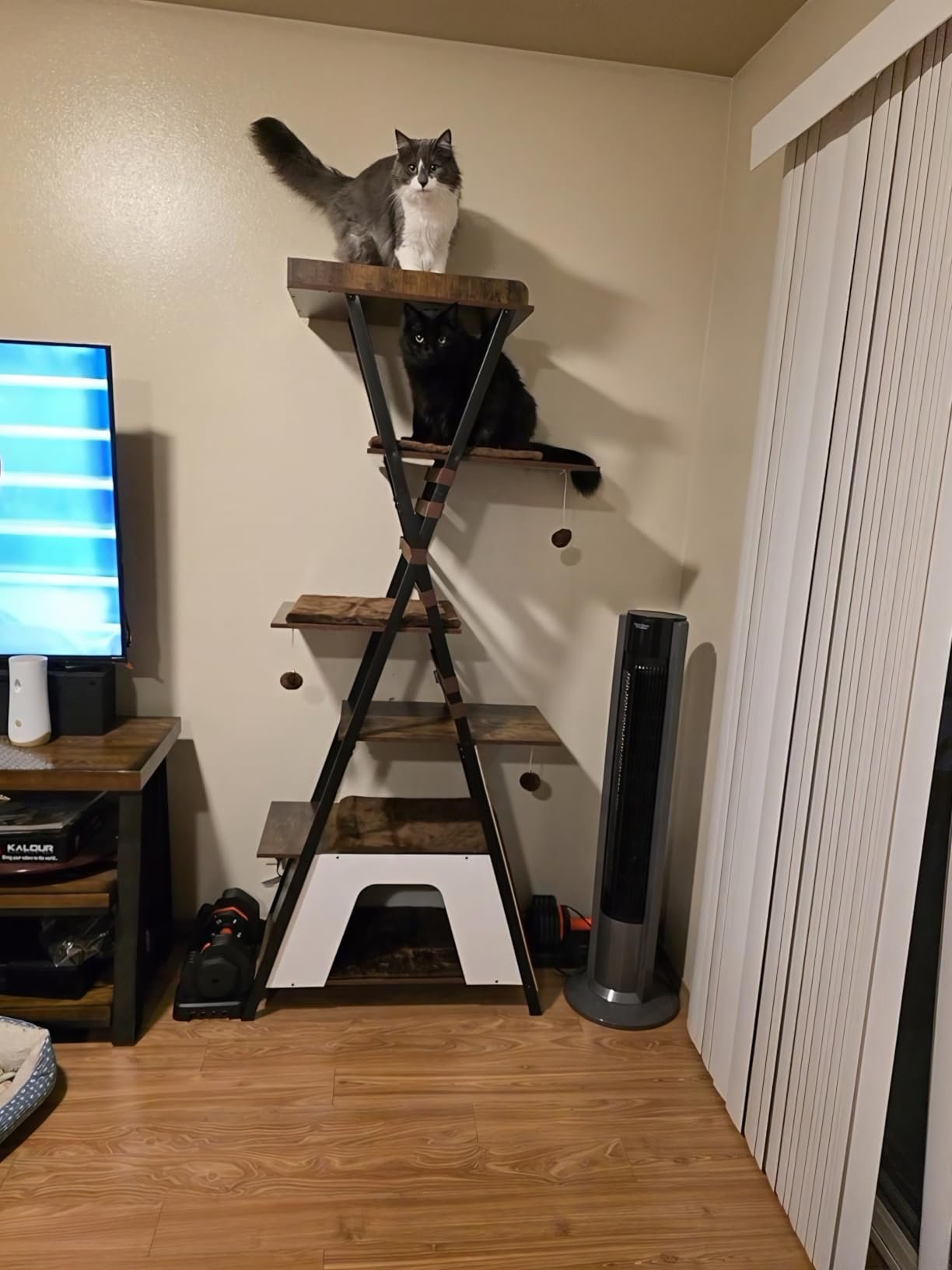 38.2" Modern Multi‑Level Cat Condo photo review
