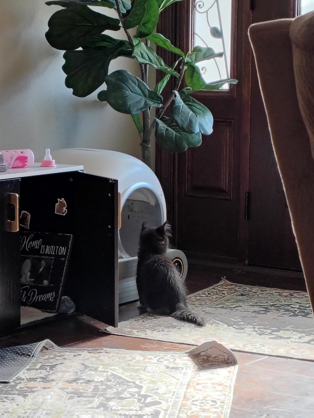 Multi‑Function Automatic Litter Box photo review