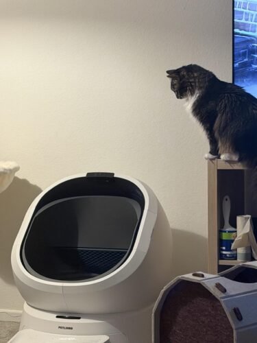 AI‑Powered Open‑Top Litter Box photo review