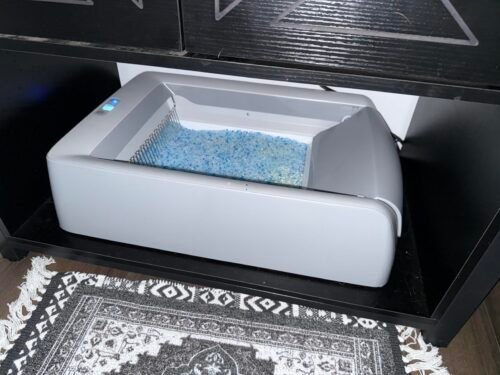 Crystal Pro Uncovered Litter Box photo review