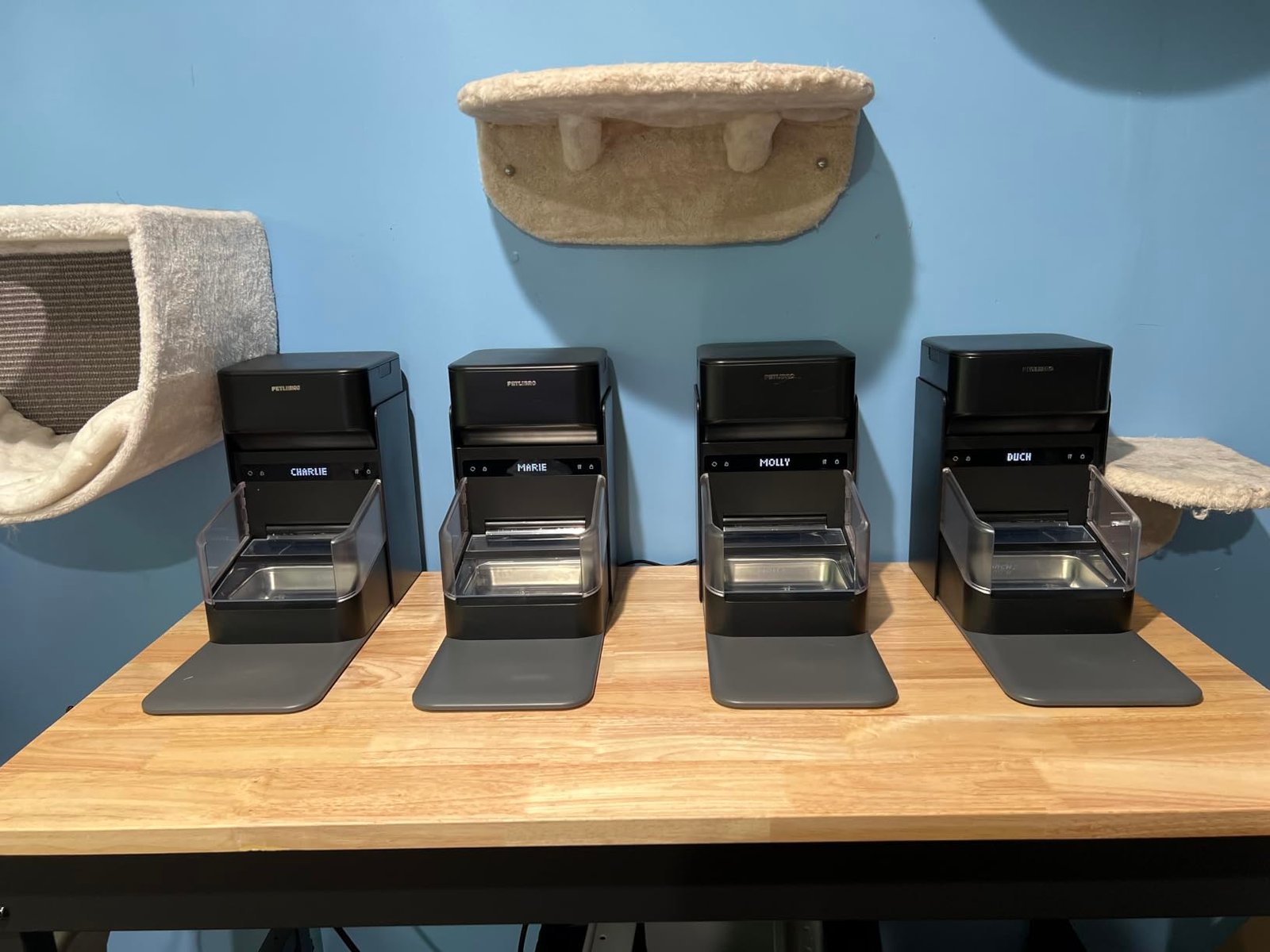 3L RFID Smart Cat Feeder photo review