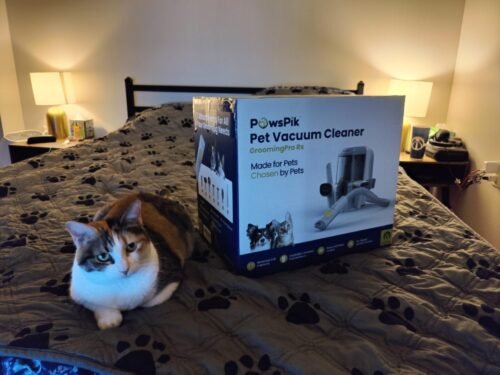 Pro Pet Grooming Vacuum Kit photo review