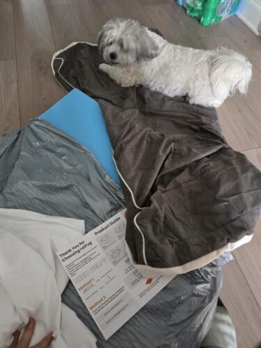 Orthopedic Memory Foam Dog Bed photo review