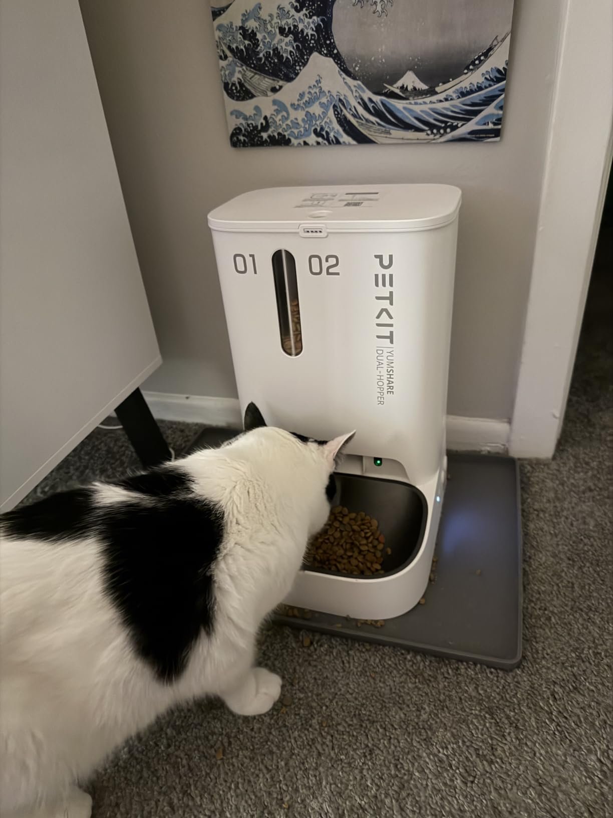 Smart Dog Feeder photo review