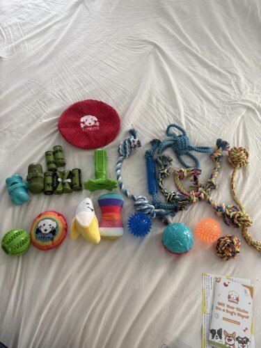 KIPRITII 25‑Pack Dog Toy Set photo review