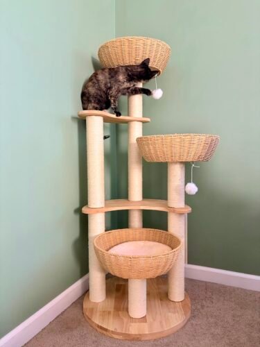 SHODMI Modern Cat Tree photo review