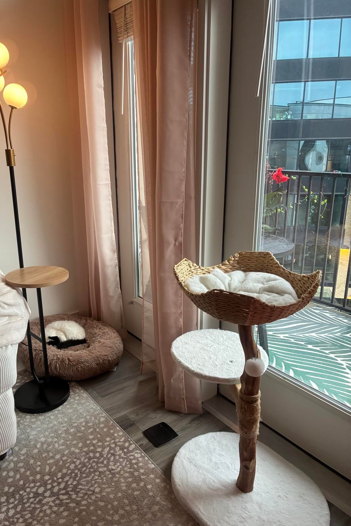 Giant Human‑Size Pet Bed photo review