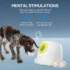 71w6V7MijRL._AC_SL1500_ Rechargeable Dog Ball Launcher