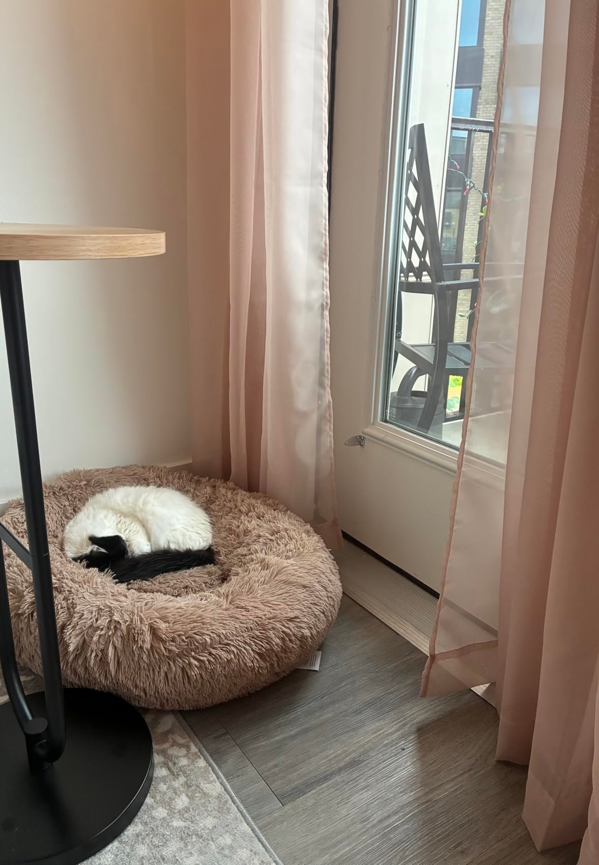 Giant Human‑Size Pet Bed photo review
