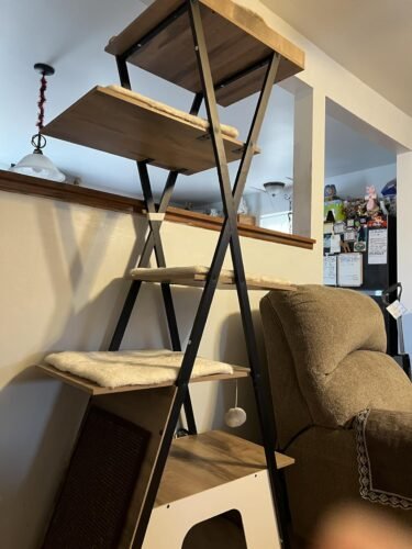 38.2" Modern Multi‑Level Cat Condo photo review