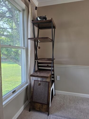 38.2" Modern Multi‑Level Cat Condo photo review
