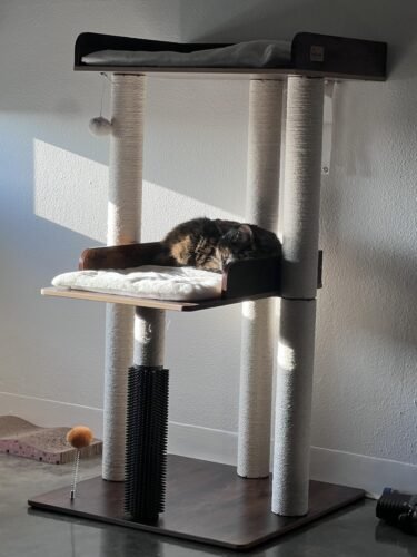 43.7" Easy‑Assemble Modern Cat Tree photo review