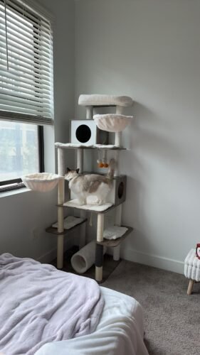 Feandrea Multi‑Level Cat Tree photo review