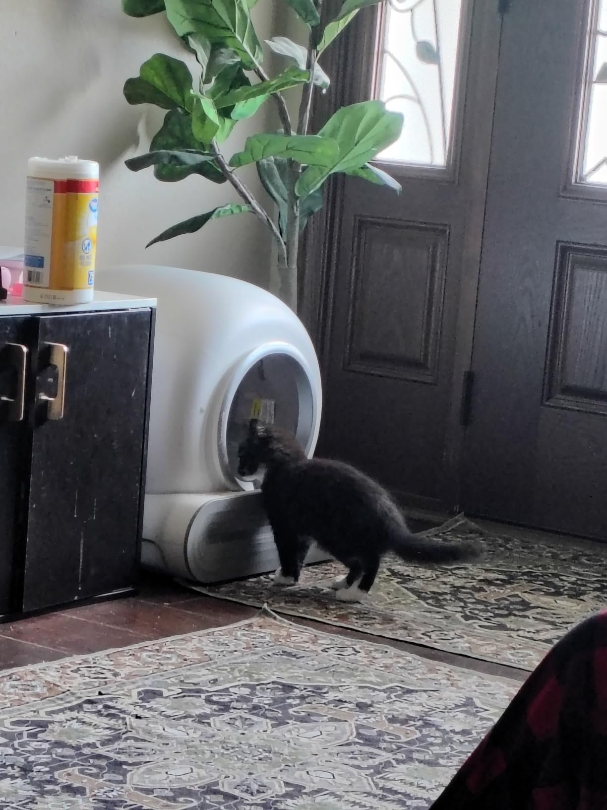 Multi‑Function Automatic Litter Box photo review