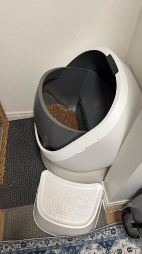 AI‑Powered Open‑Top Litter Box photo review