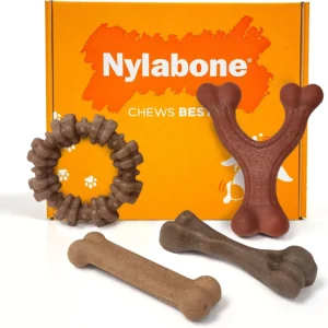 Large‑Dog Nylabone 4‑Pack