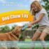 Puppy Dental Chew Toy Set