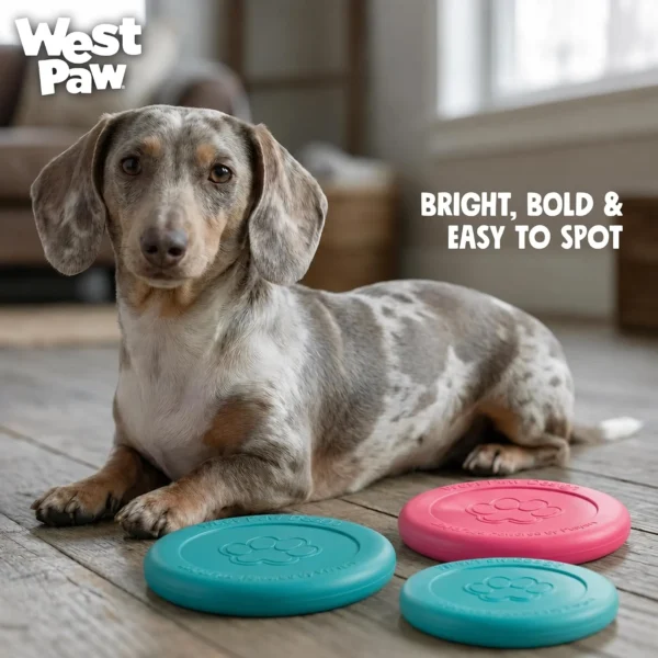 West Paw Zisc Dog Flying Disc
