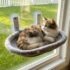 Glow‑in‑Dark Cat Hammock