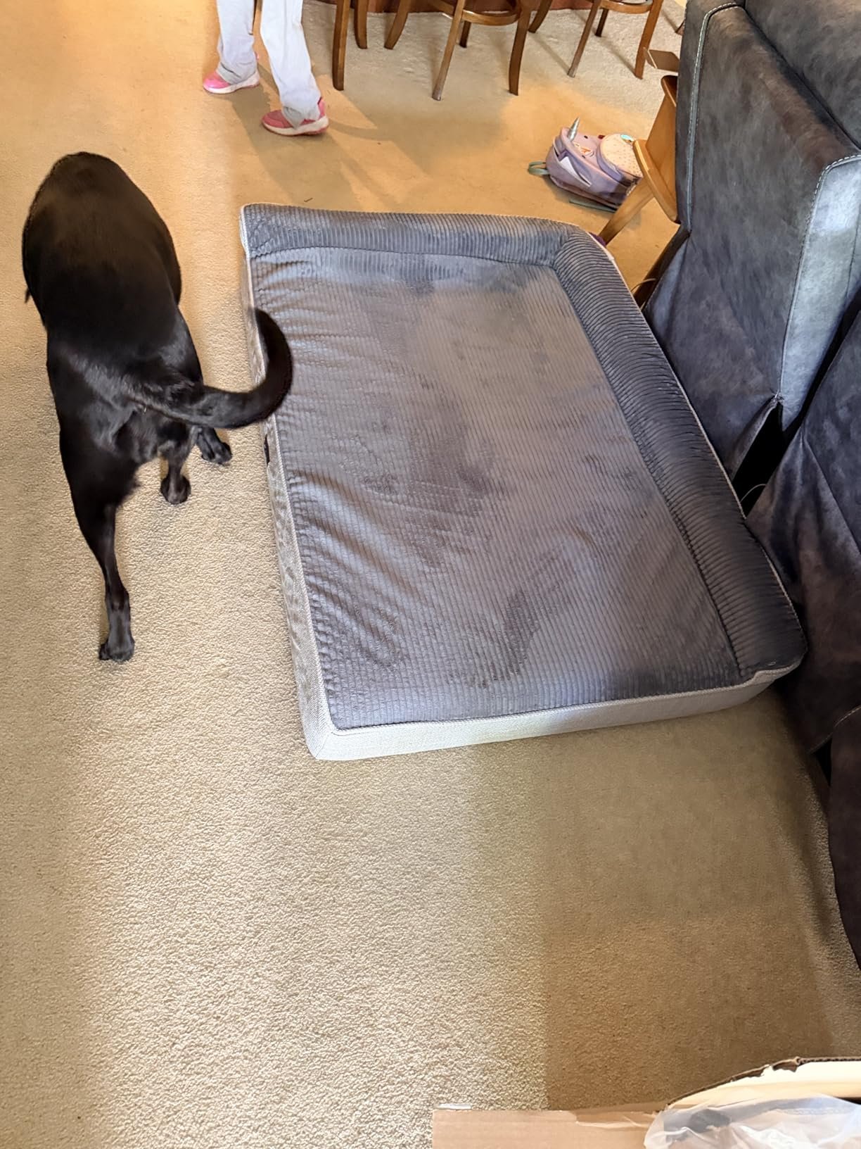 Heavy‑Duty XXL Dog Bed photo review