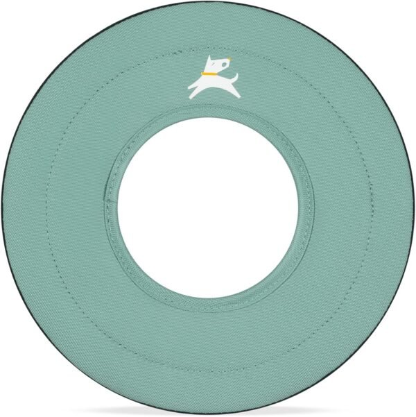 81I1YIoO8TL._AC_SL1500_ Eco Floating Dog Frisbee