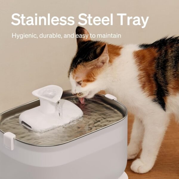 81IpYpWm+jL._AC_SL1500_ Petlibro 2.5L Wireless‑Pump Fountain