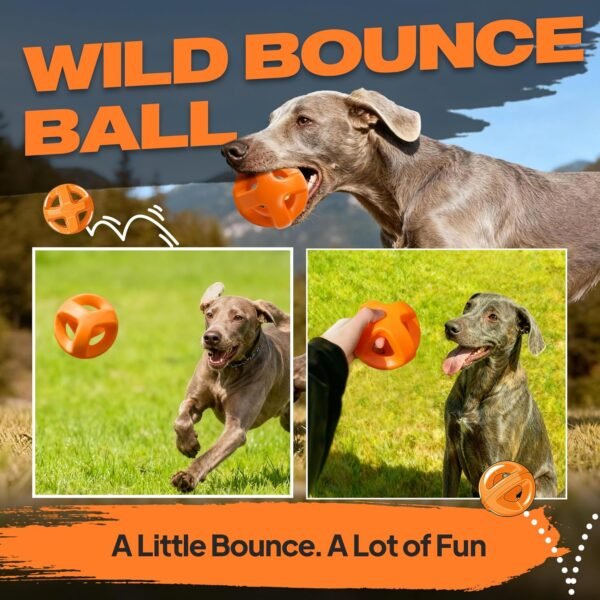 Fida Natural Rubber Dog Balls