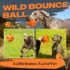 Fida Natural Rubber Dog Balls