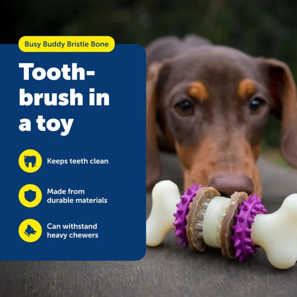 Dental Bristle Bone Dog Toy