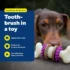 Dental Bristle Bone Dog Toy