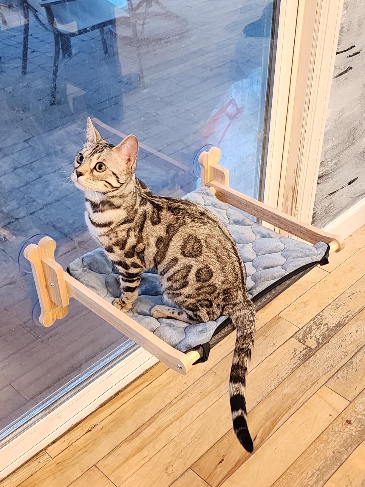 Szee All‑Season Cat Window Perch photo review