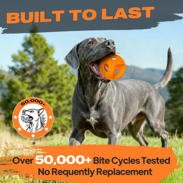Fida Natural Rubber Dog Balls