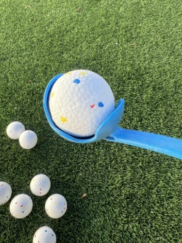 Rechargeable Dog Ball Launcher photo review