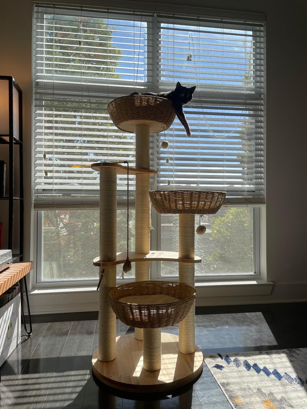 SHODMI Modern Cat Tree photo review