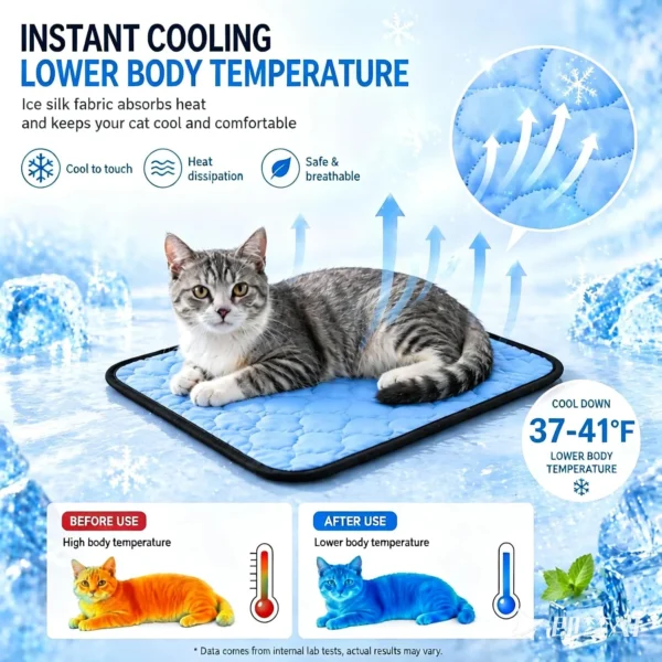 Szee All‑Season Cat Window Perch