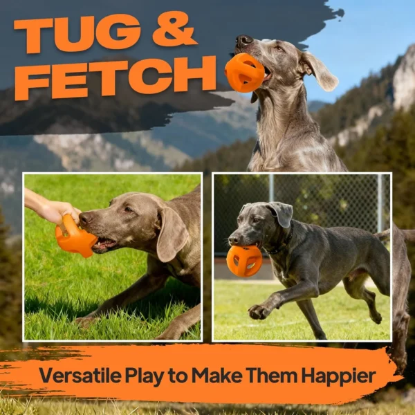 Fida Natural Rubber Dog Balls