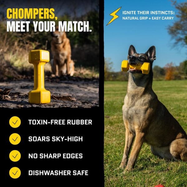 Tough Dumbbell Dog Chew Toy