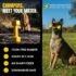 Tough Dumbbell Dog Chew Toy