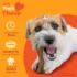 81XvNmq-ETL._AC_SL1500_ Large‑Dog Nylabone 4‑Pack