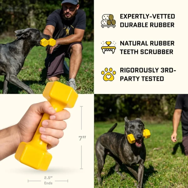 Tough Dumbbell Dog Chew Toy