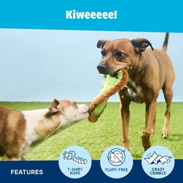 81aSbpKq7HL._AC_SL1500_ BarkBox Kiweeeee Dog Disc Toy