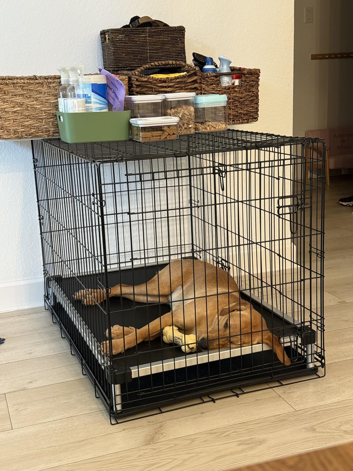 Chew Resistant Dog Bed photo review