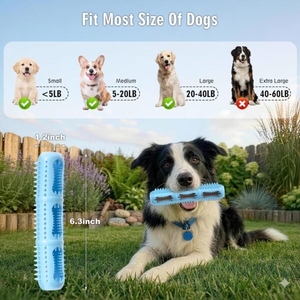 Puppy Dental Chew Toy Set