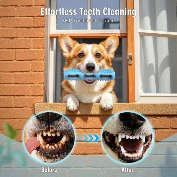 Puppy Dental Chew Toy Set