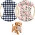 81oFn+-ZVjL._AC_SL1500_ 2‑Pack Cotton Rope Dog Frisbees