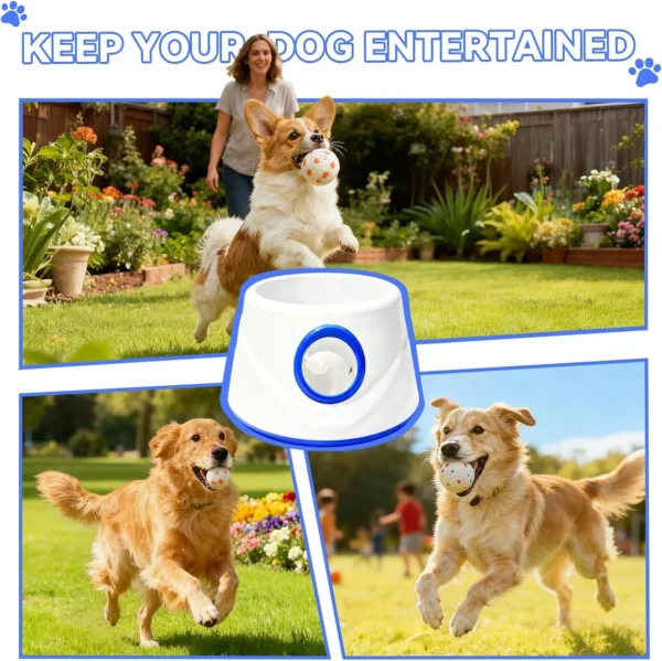 81p5QDBvymL._AC_SL1500_ Adjustable Dog Launcher Set