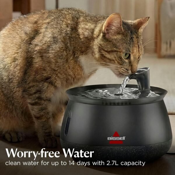 Bissell HydrateWell Cat Fountain